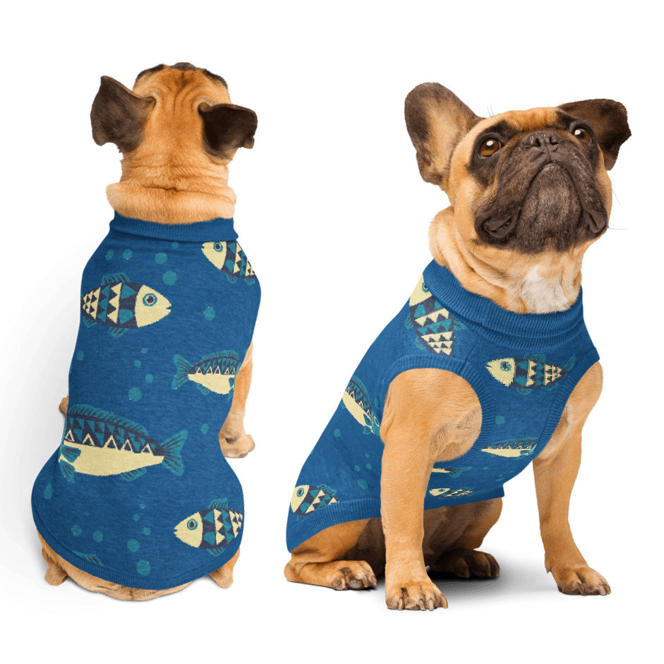 Fishtank – Knitted pet sweater