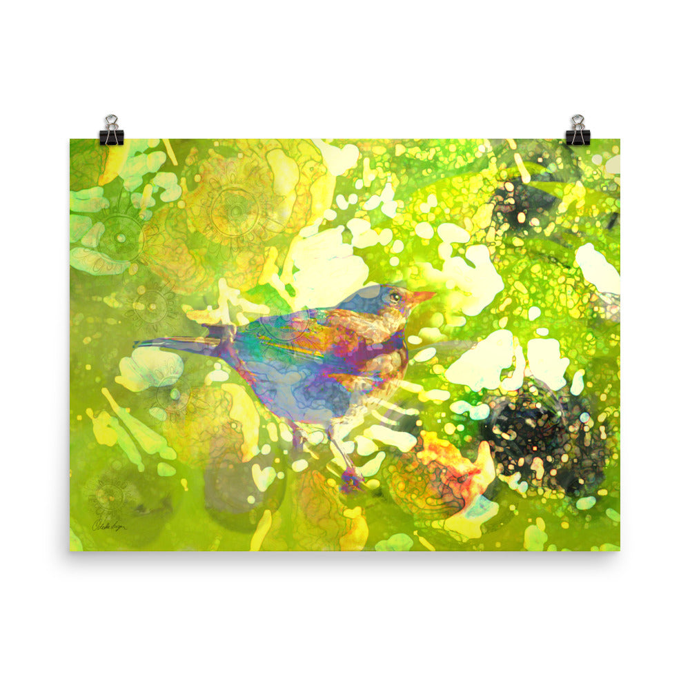 Happy Blackbird - Poster