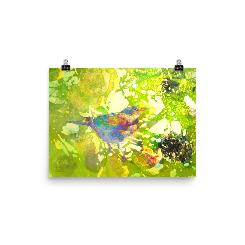 Happy Blackbird - Poster